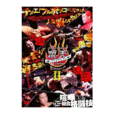 DVD STREET FIGHT 頂天II TEPPEN JAPAN [gp-dvd-dmg-8266]