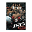 総合格闘技　MMA/DVD ZST2