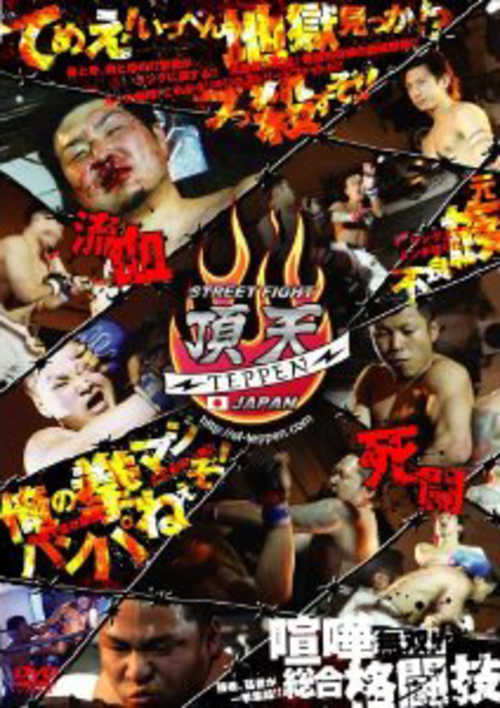 DVD STREET FIGHT 頂天 TEPPEN JAPAN 喧嘩一武闘会[gp-dvd-dmg-8224]