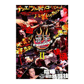 DVD STREET FIGHT 頂天II TEPPEN JAPAN